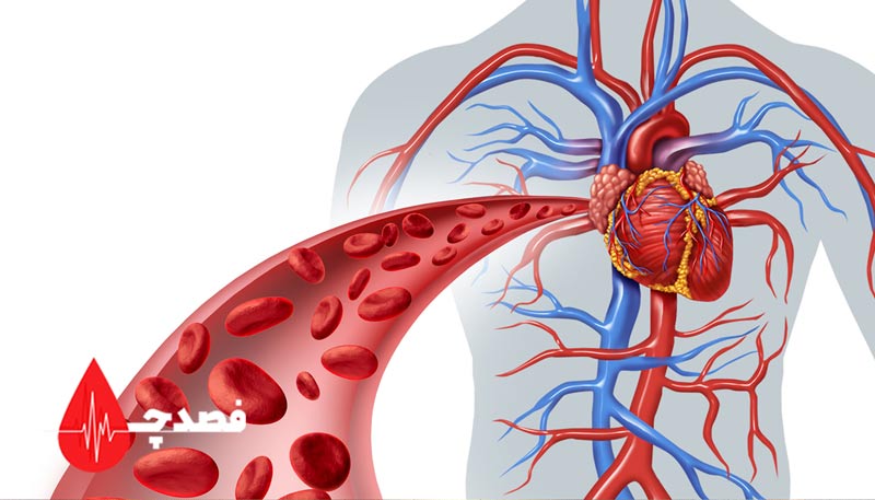 بهترین زمان فصد خون